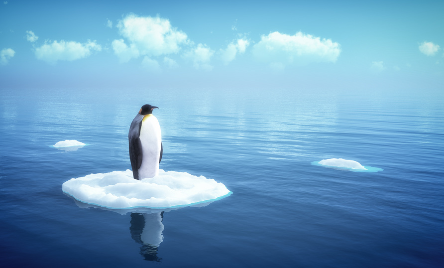 single penguin on a piece of ice