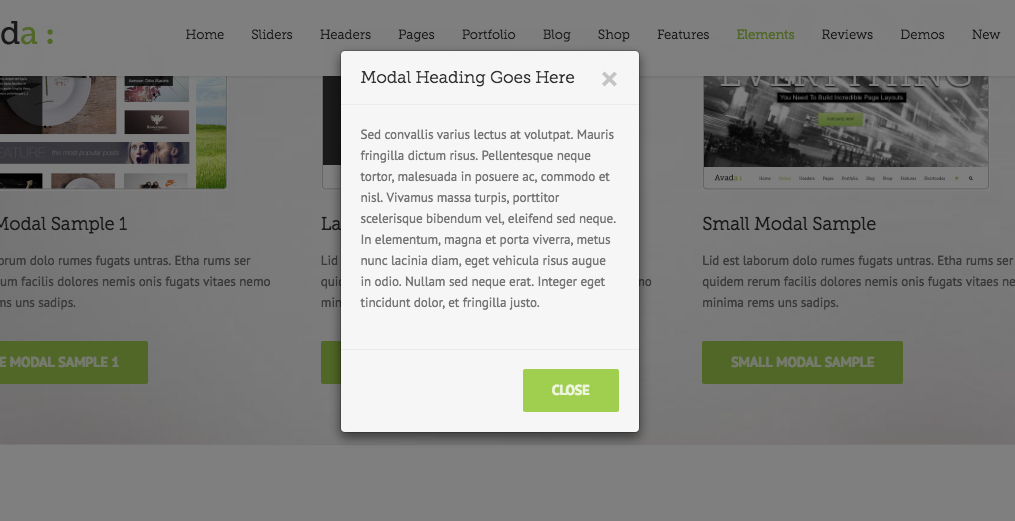 Modal Pop-Up Example Avada