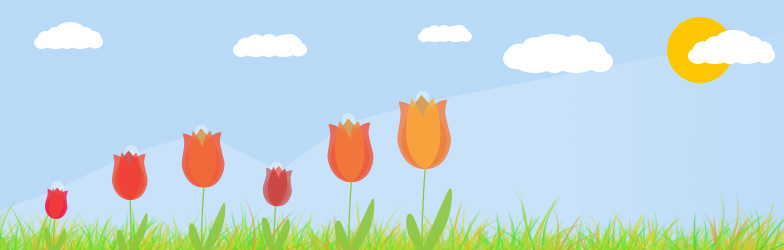 Flower Power Boost Content